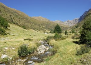 Pascoli e boschi nell'Alta Val Grande