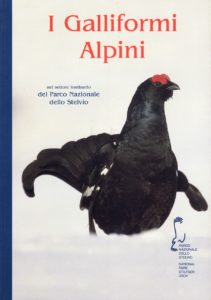 Pubb_I galliformi alpini