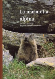 Pubb_La marmotta alpina