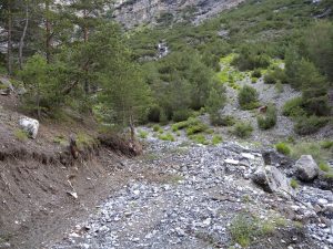LV_Boscopiano1_16