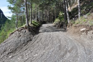 LV_Boscopiano2_16