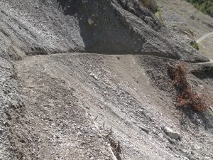 LV_Gallo02_16