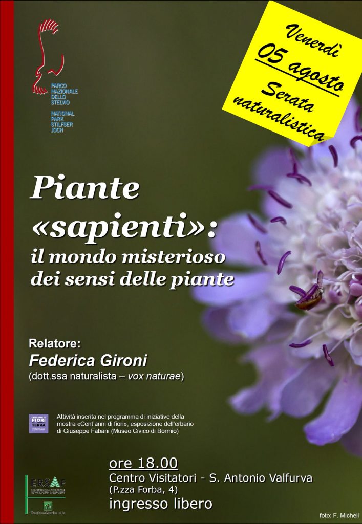 Piante sapienti