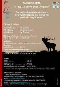Locandina Bramito cervo 2016 - versante camuno BS