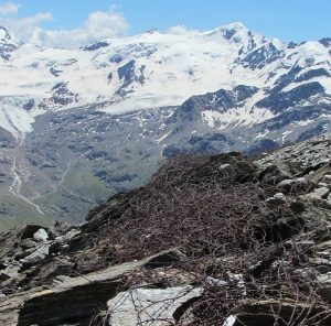 I Passi di Zebrù, difesi un tempo da chilometri di filo spinato, si affacciano sul maestoso Ghiacciaio dei Forni