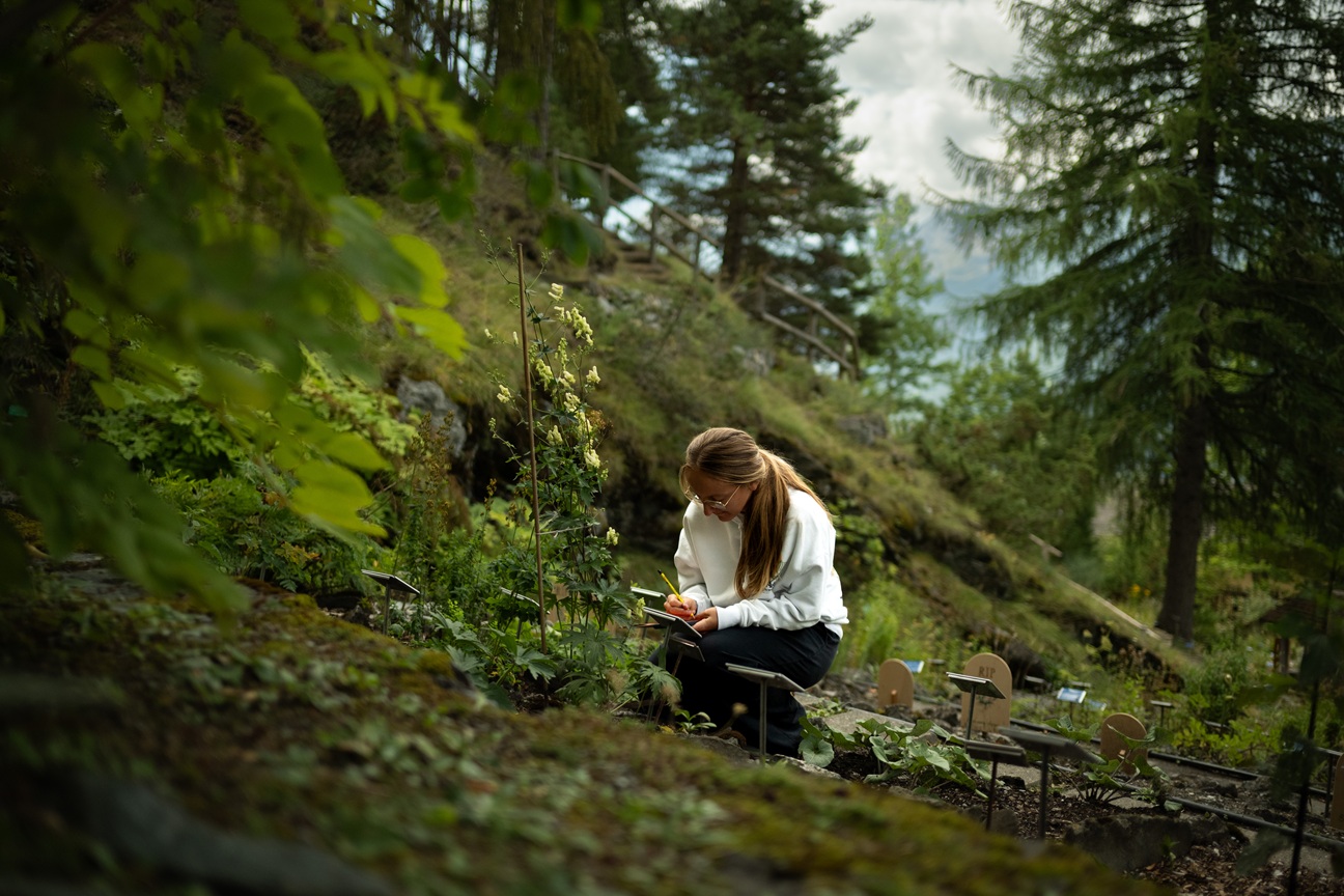 Parco in Festa