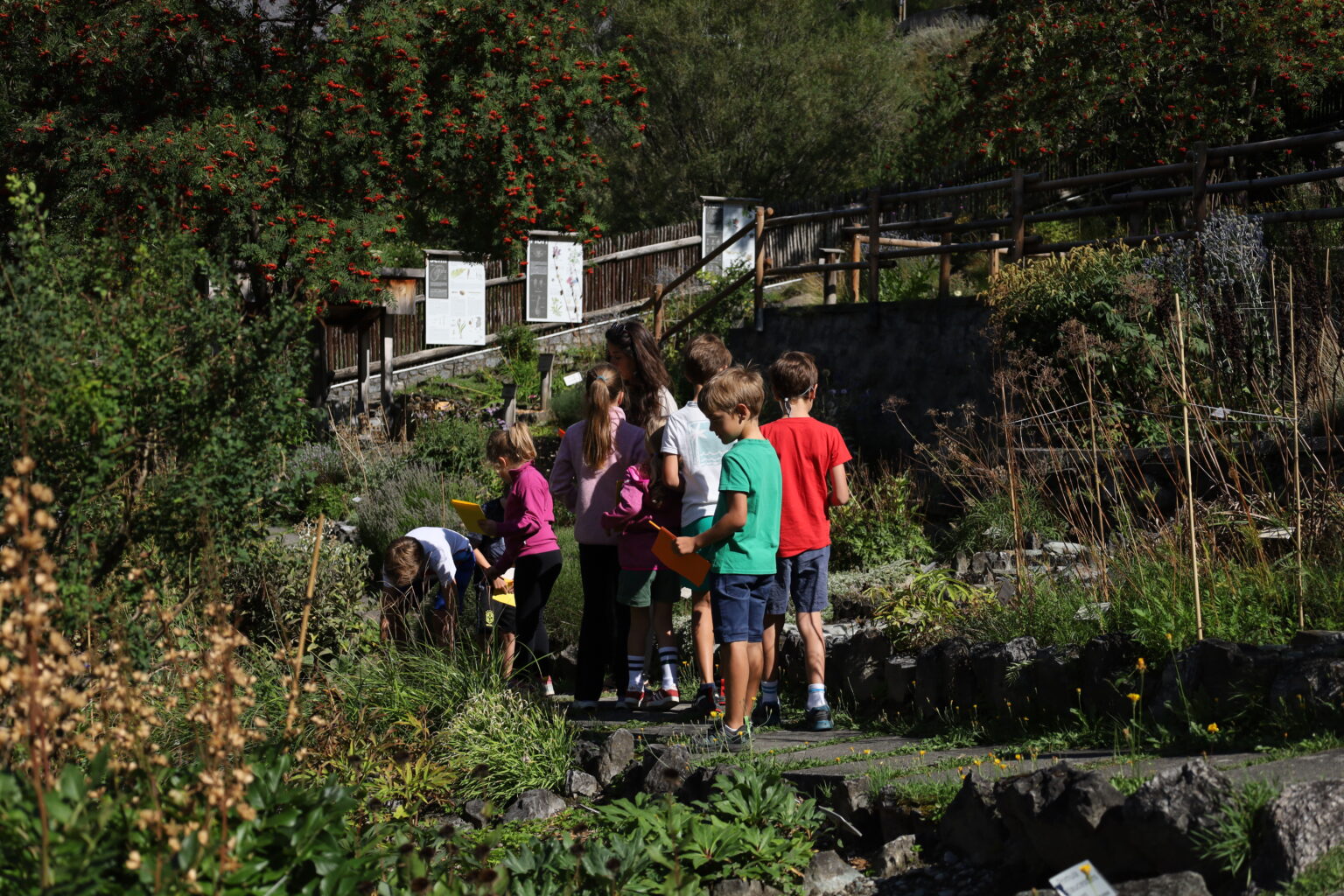 Educazione ambientale nel Parco