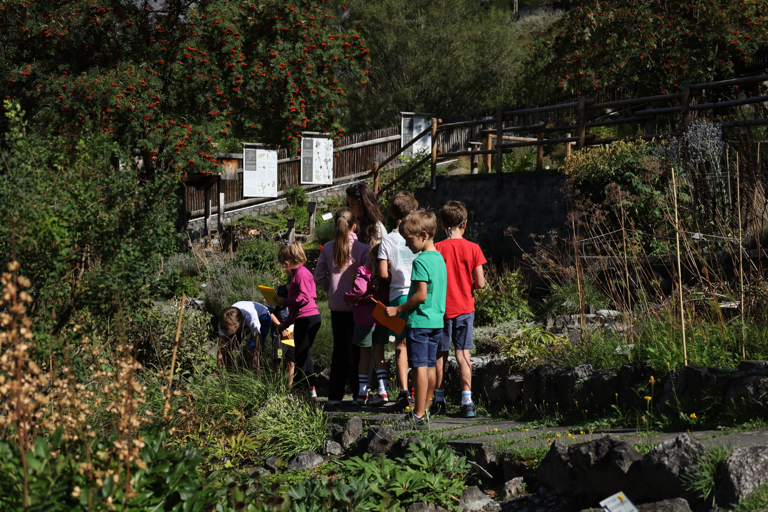 Educazione ambientale nel Parco