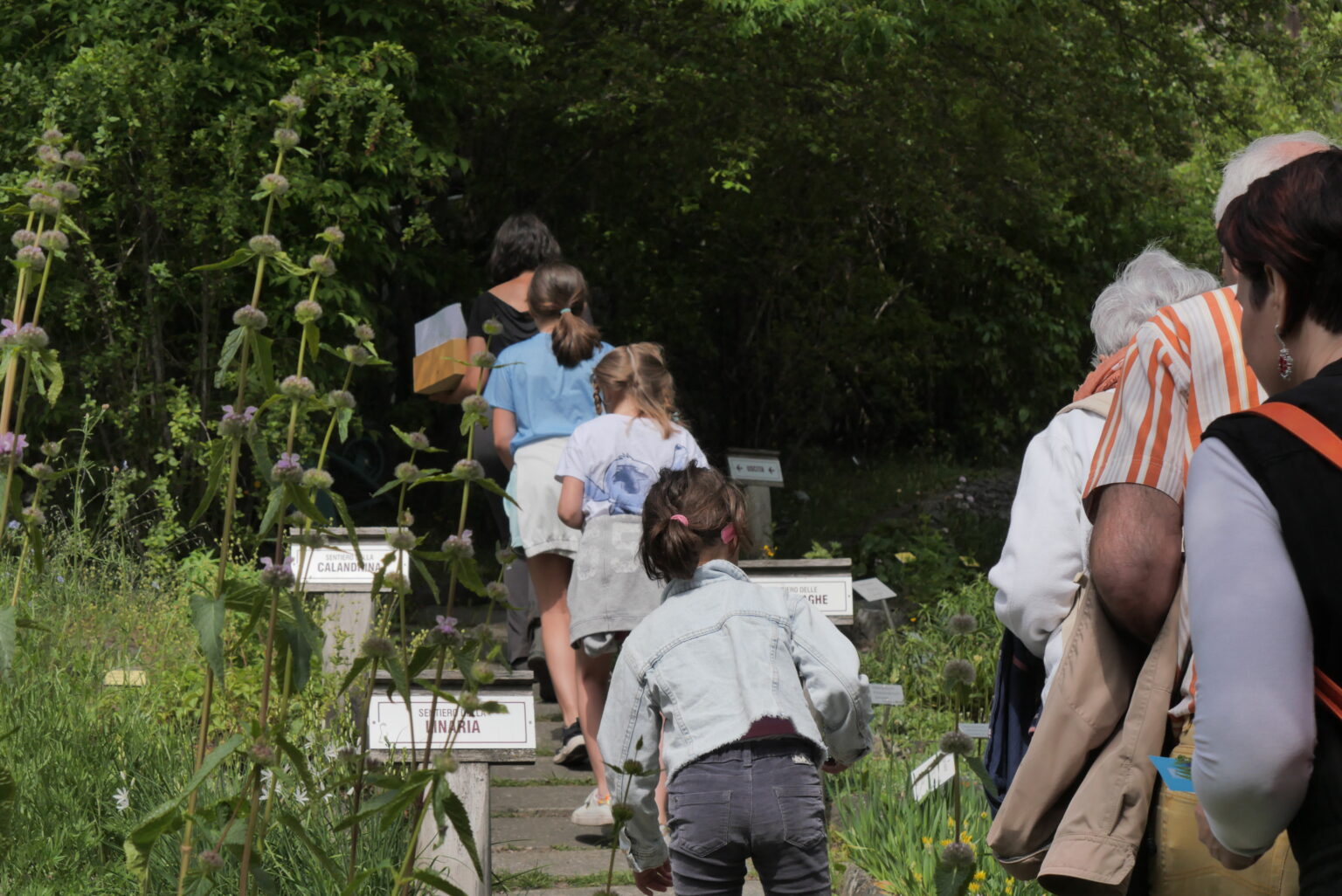 Educazione ambientale nel Parco
