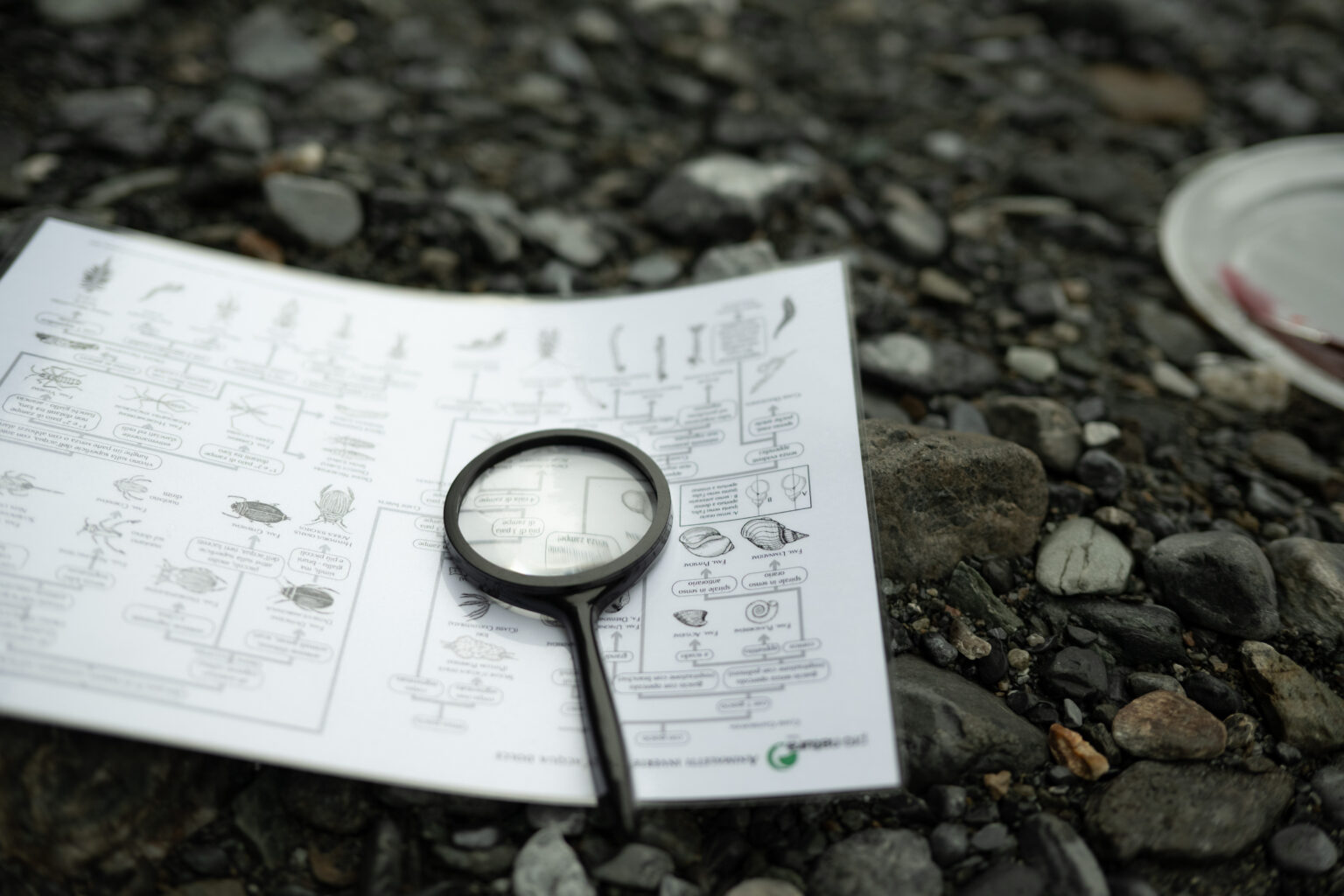Educazione ambientale nel Parco