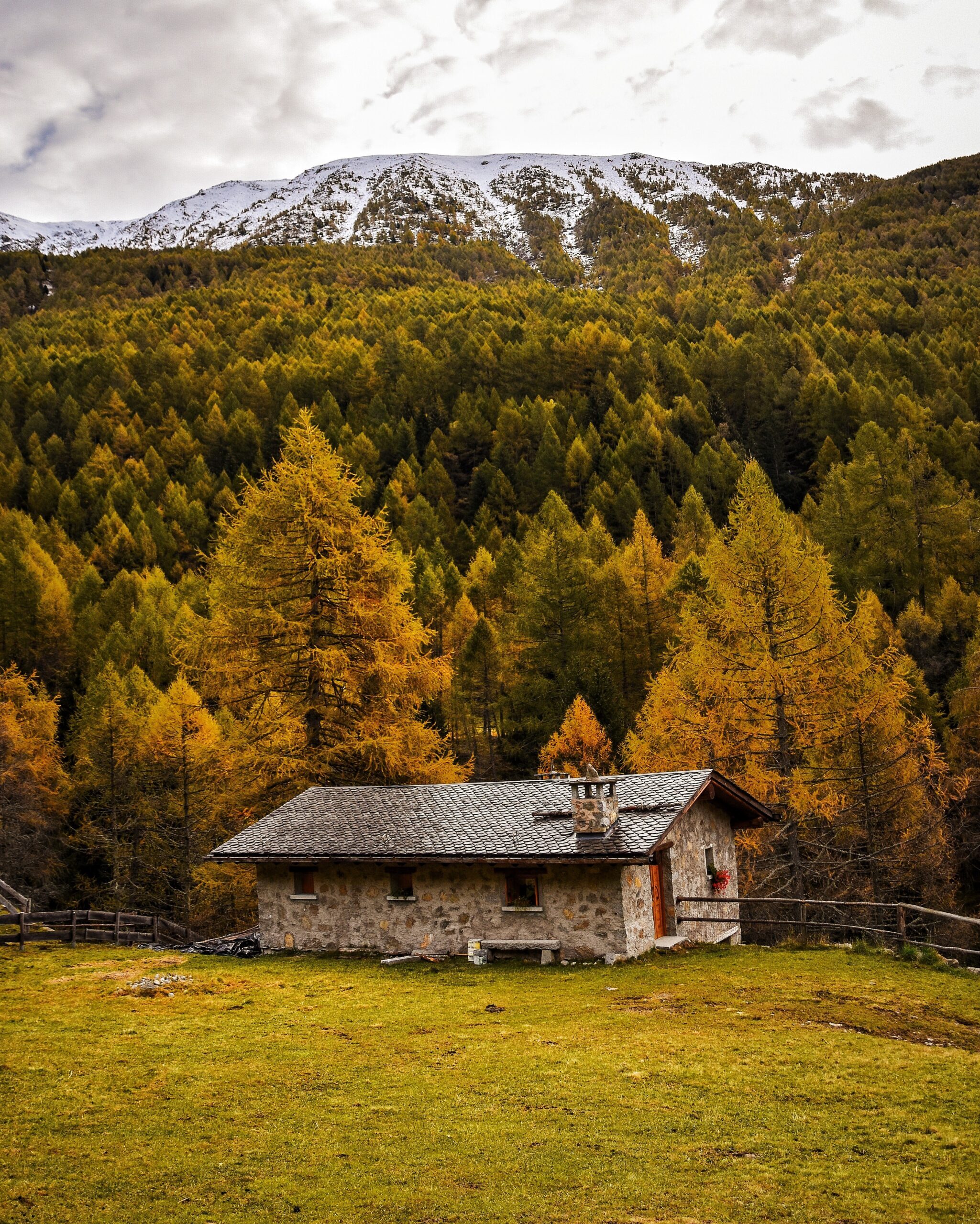 ph. Fabio Rossoni